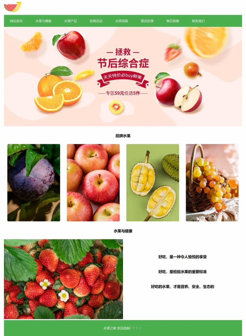 水果之家企业网站8网页html+css 表单 视频 精选下载