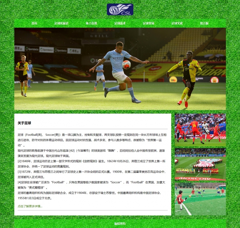 足球 运动体育8网页html+css 三级页面 表单 精选下载