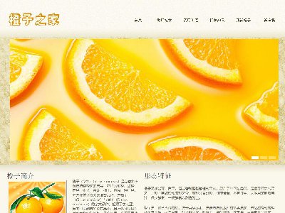 橙子之家 6页面 橙子水果介绍