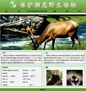 616 保护濒危野生动物 20页 表格 视频 表单 特效