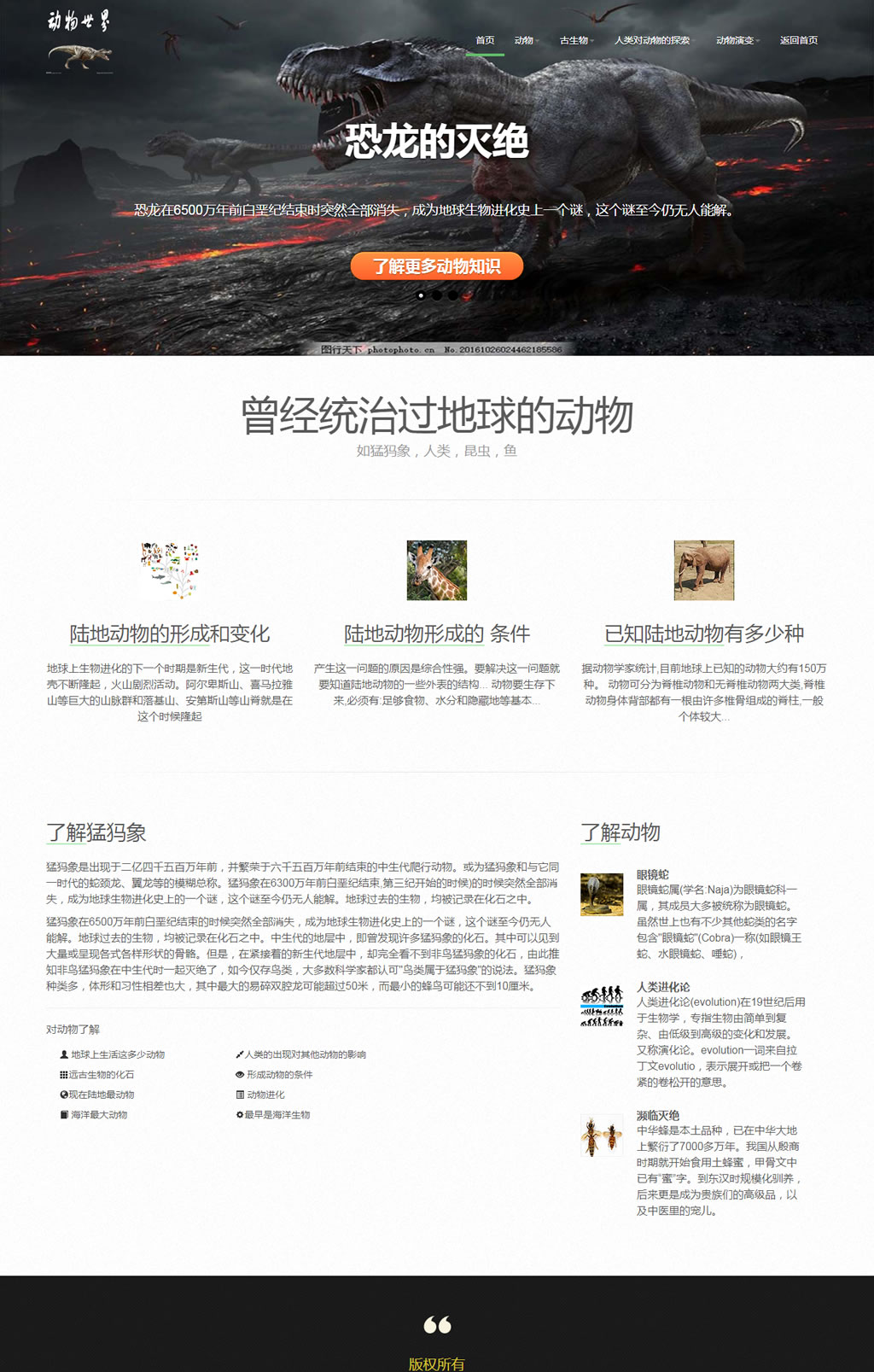 动物世界保护动物专题活动网站 10网页div+css+js  自适应  精选