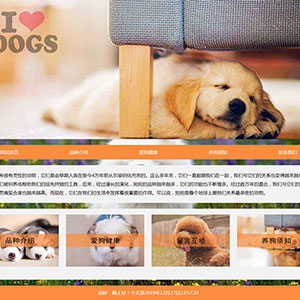 宠物狗狗网页设计作业爱狗dreamwearver代做学生网页设计模板下载