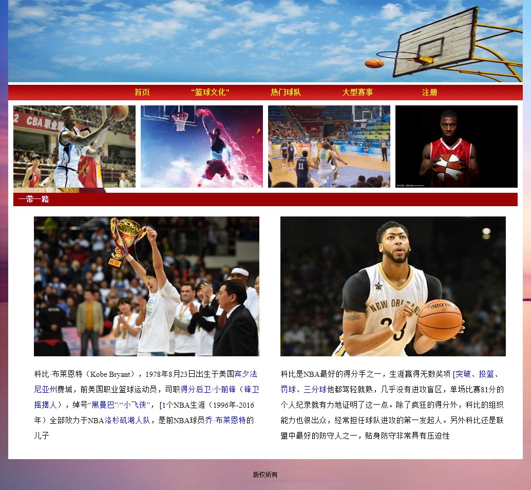 体育篮球5网页div+css带登录表单学生网页设计作业源码精选