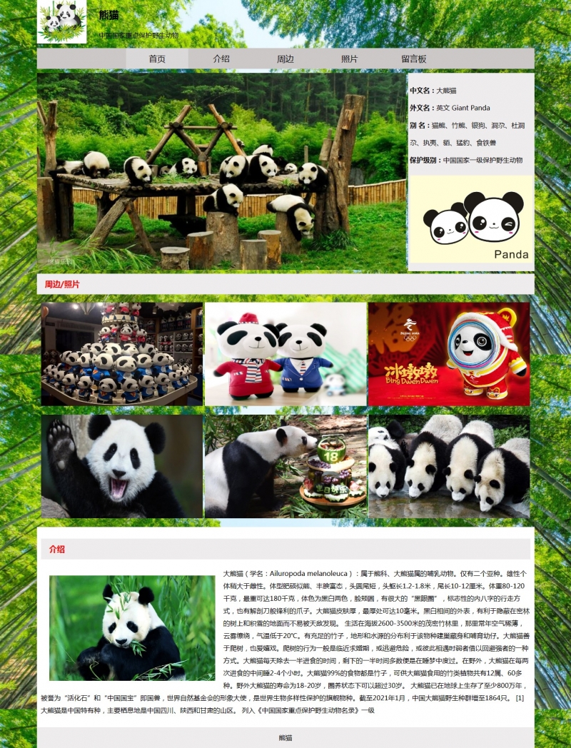 大熊猫动物5网页html+css表单导航选中特效 精选下载