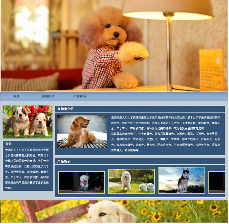 宠物狗3网页页html+css留言表单 滚动图片 精选下载